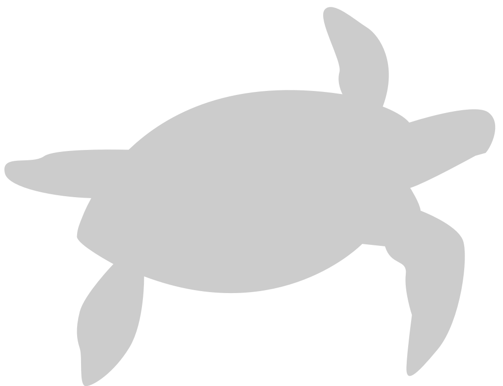 Tortuga vector