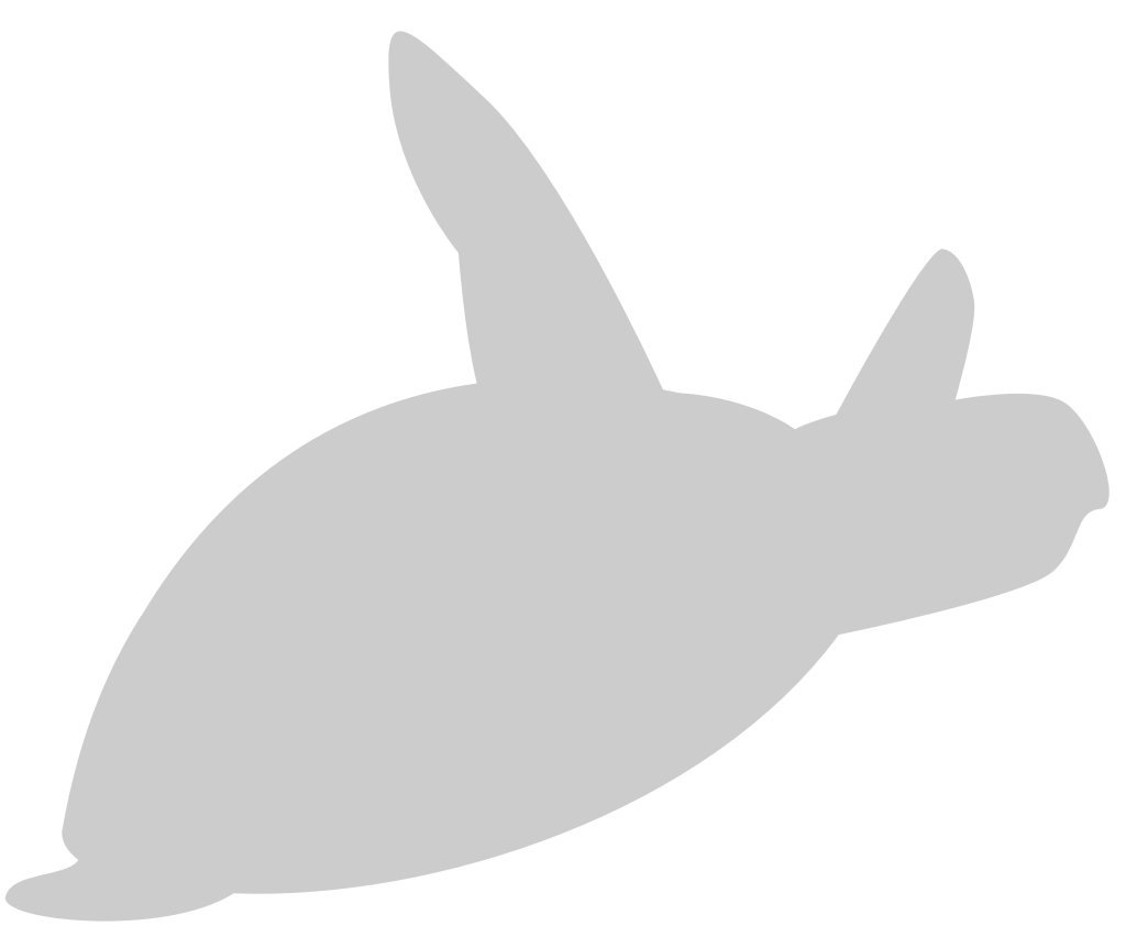 Tortuga vector