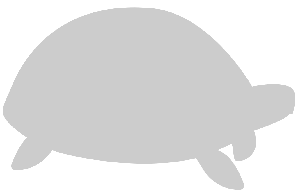 Turtle vector