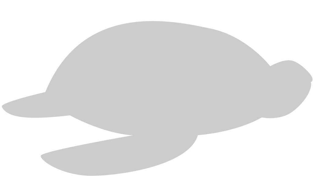 Turtle vector