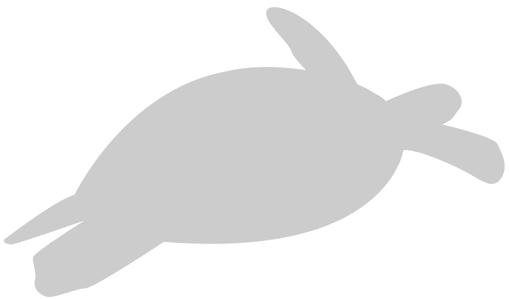 Turtle vector