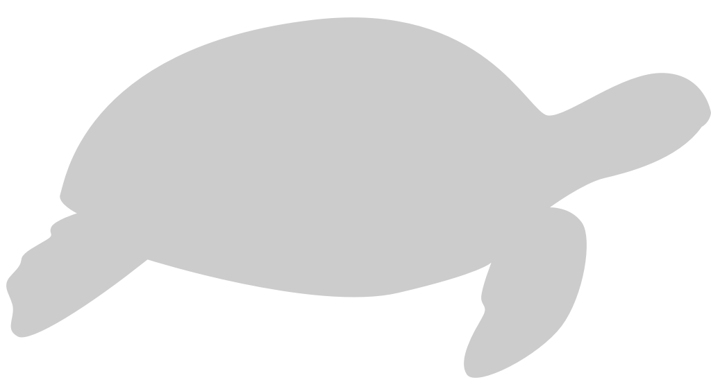 Turtle vector