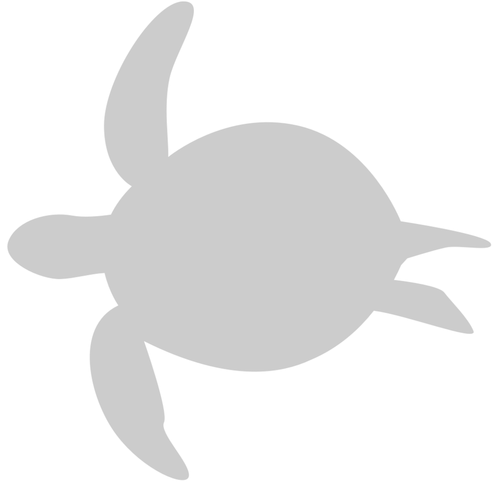 Tortuga vector