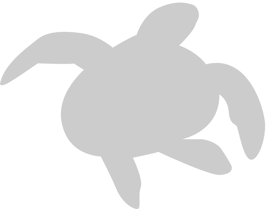 Tortuga vector