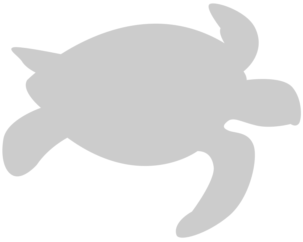 Turtle vector