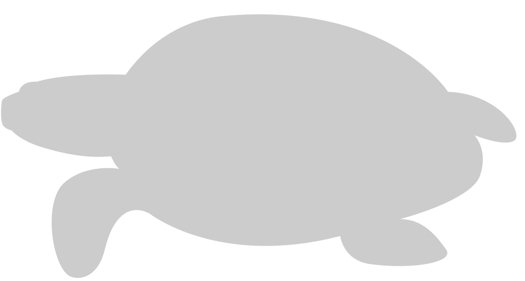 Turtle vector