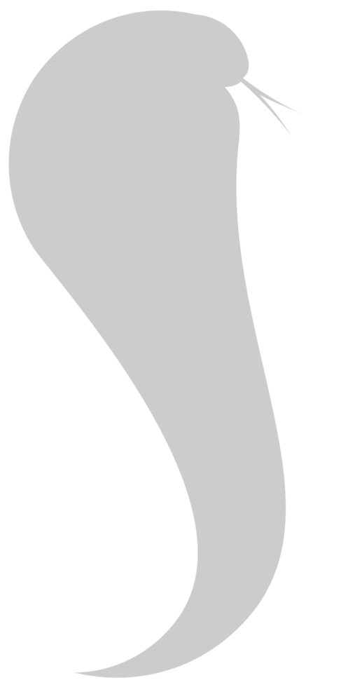Cobra vector