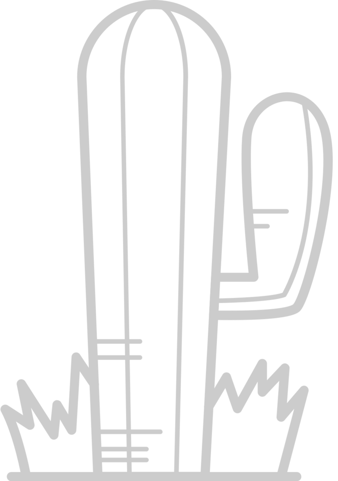 Cactus vector