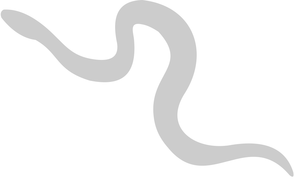 Snake vector