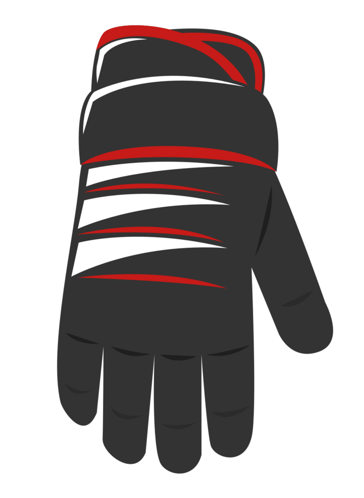 hockey gloves vector
