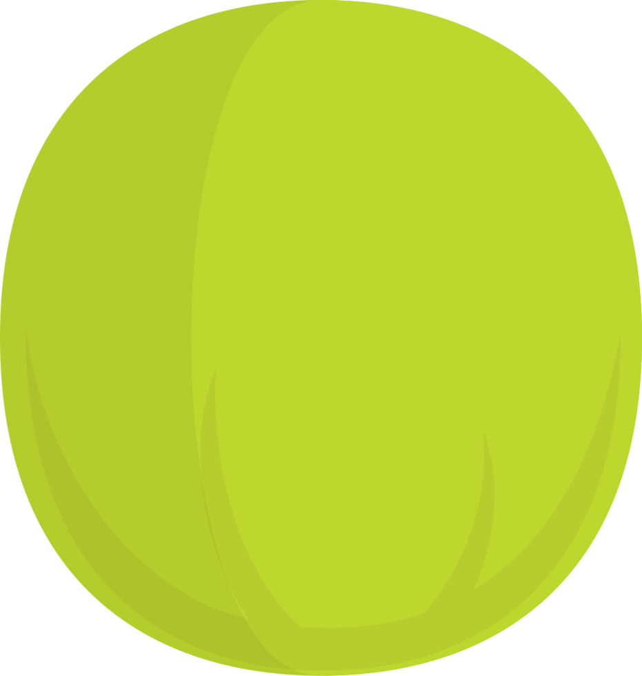 coconut vector