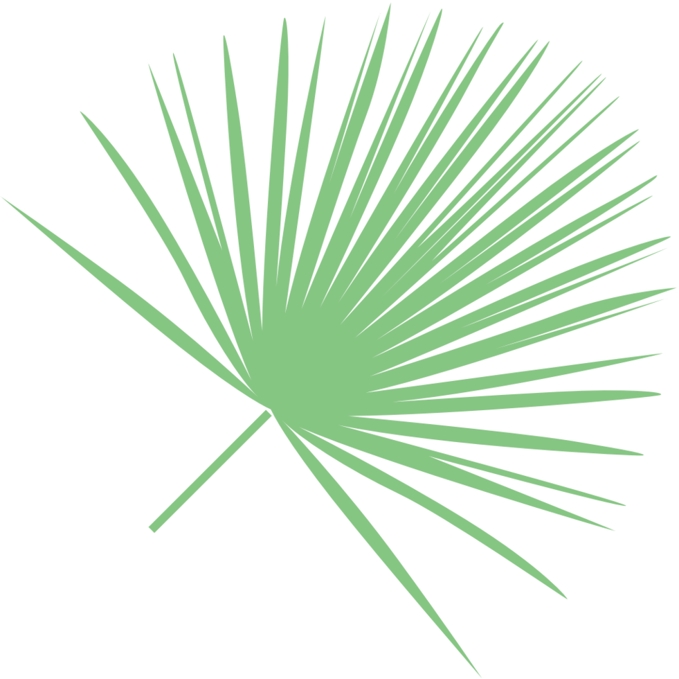 leaf palm vector