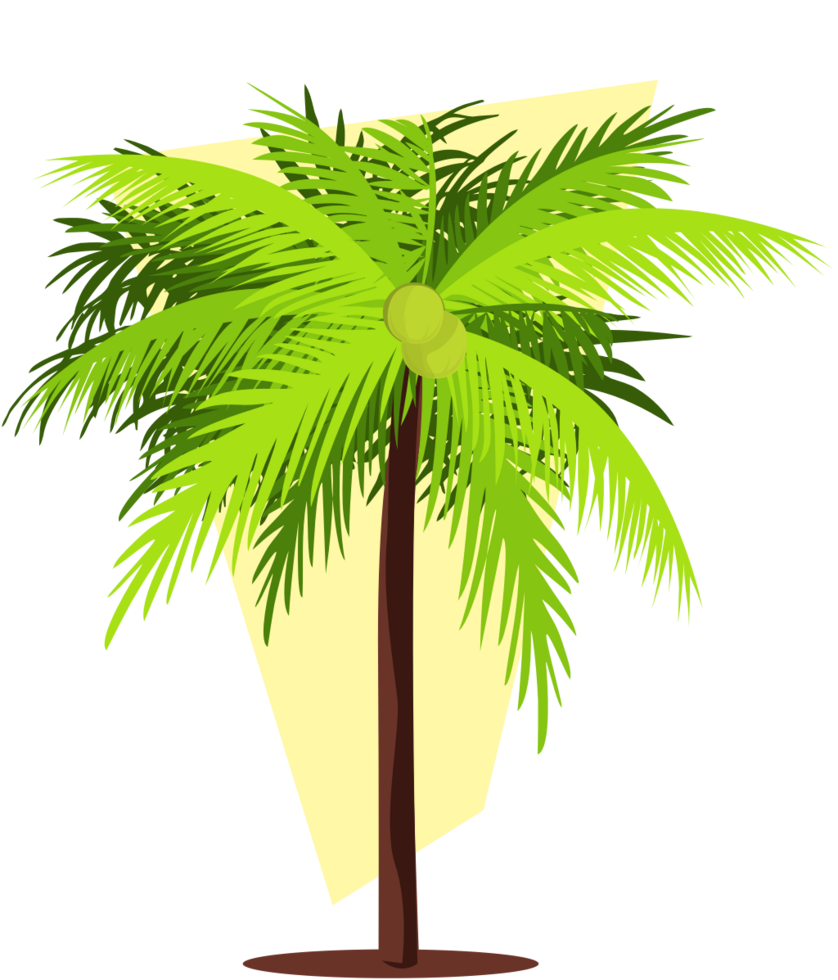 árbol de coco vector