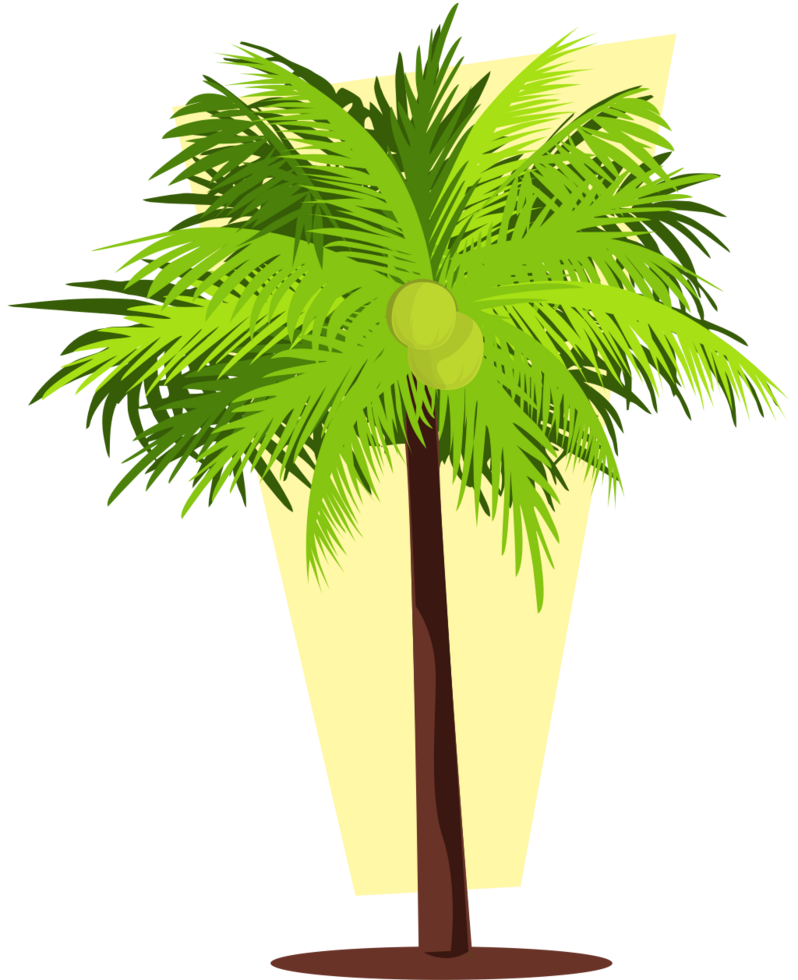coconut tree vector