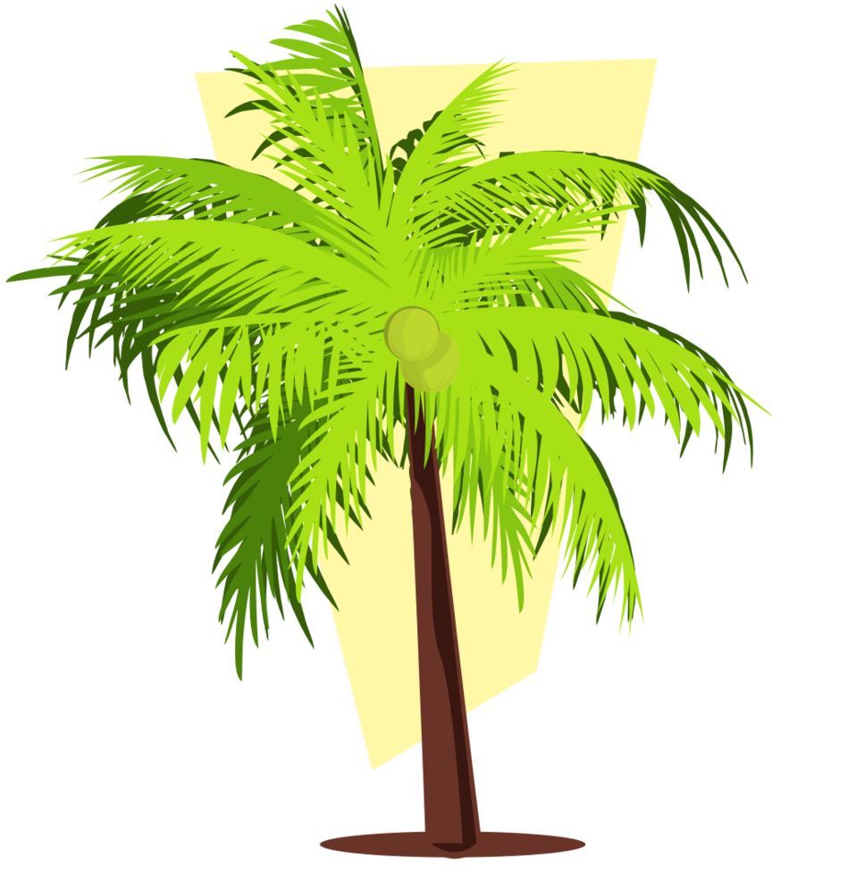 coconut tree vector