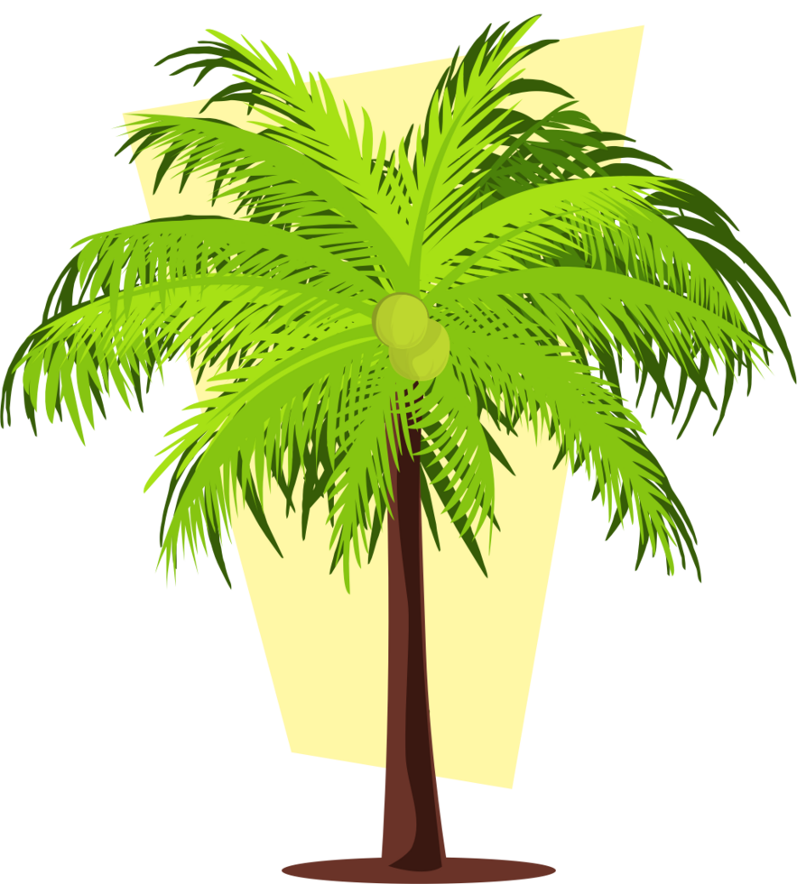 coconut tree vector