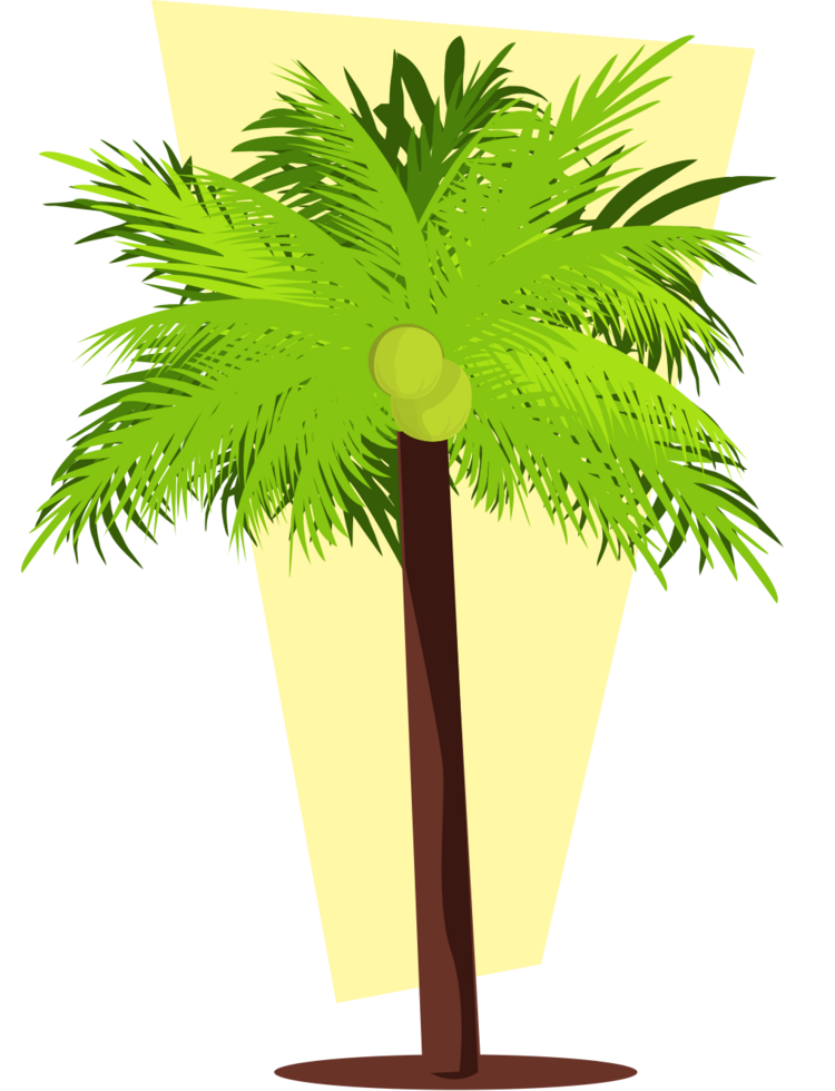 coconut tree vector