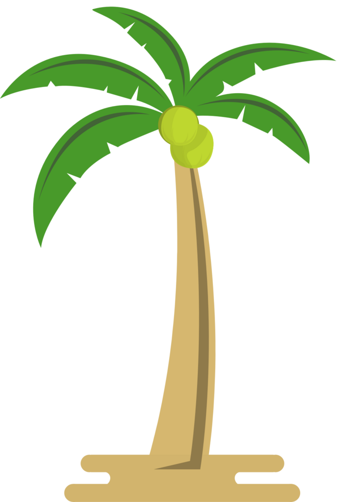 coconut tree vector
