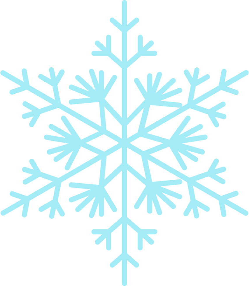 Snowflake vector