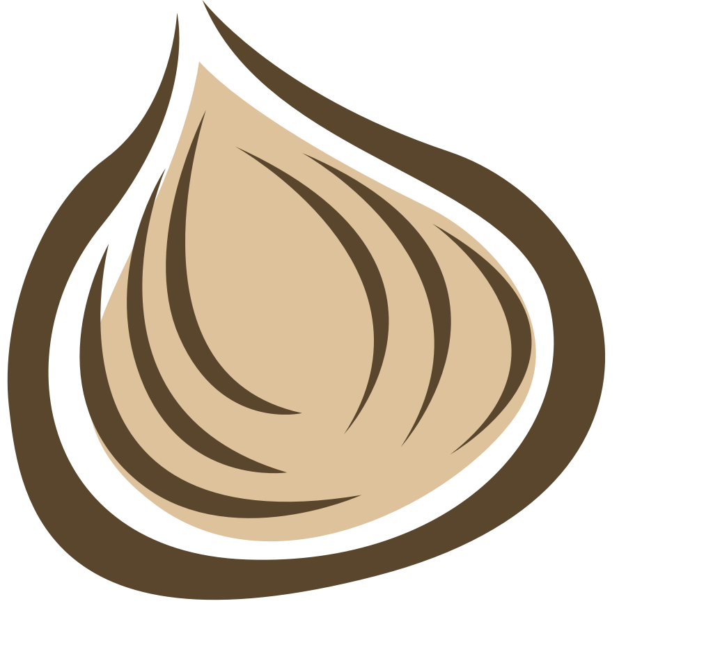 Onion vector