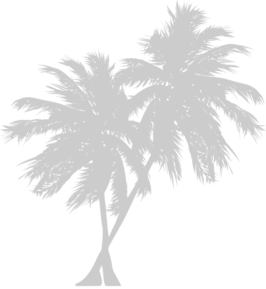 Palm Tree vector