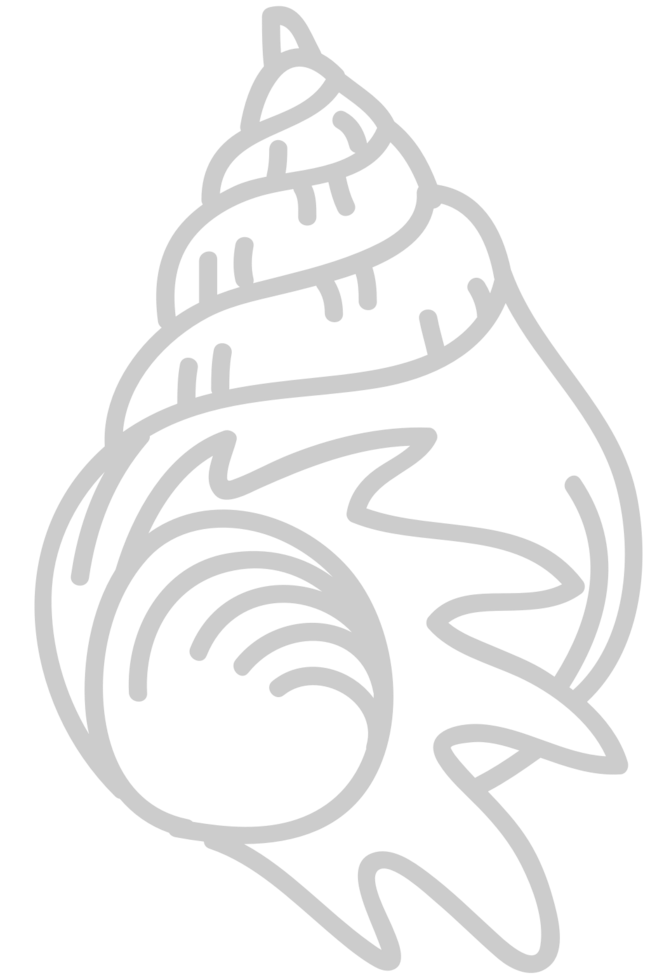 Shell vector