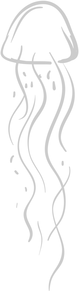 Jellyfish vector