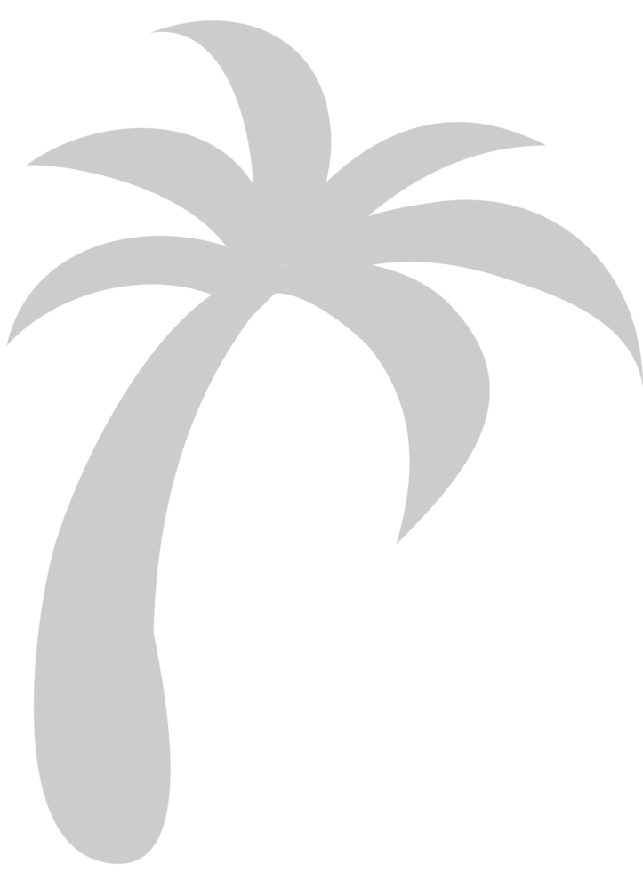 Palm Tree vector