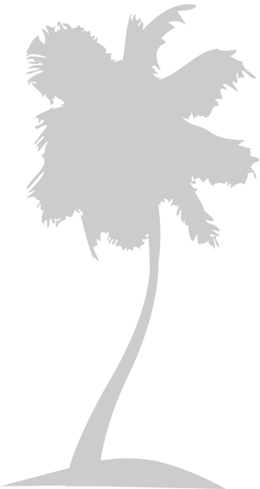 Palm Tree vector