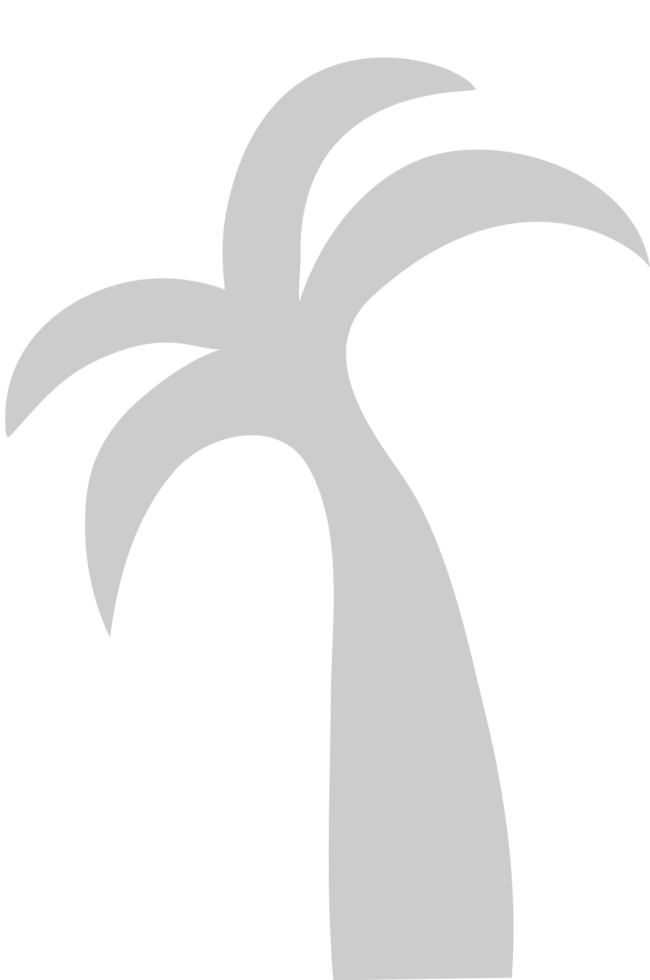 Palm Tree vector