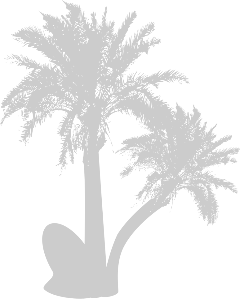 Palm Tree vector