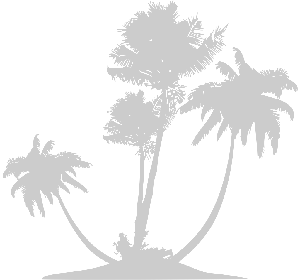 Palm Tree vector