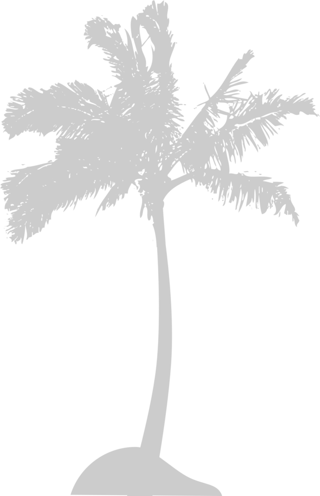 Palm Tree vector