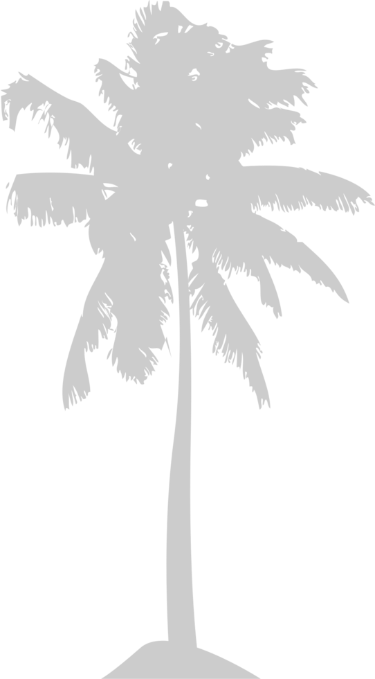 Palm Tree vector