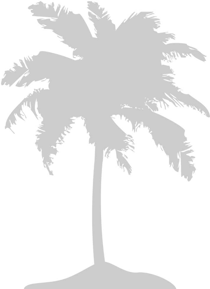 Palm Tree vector