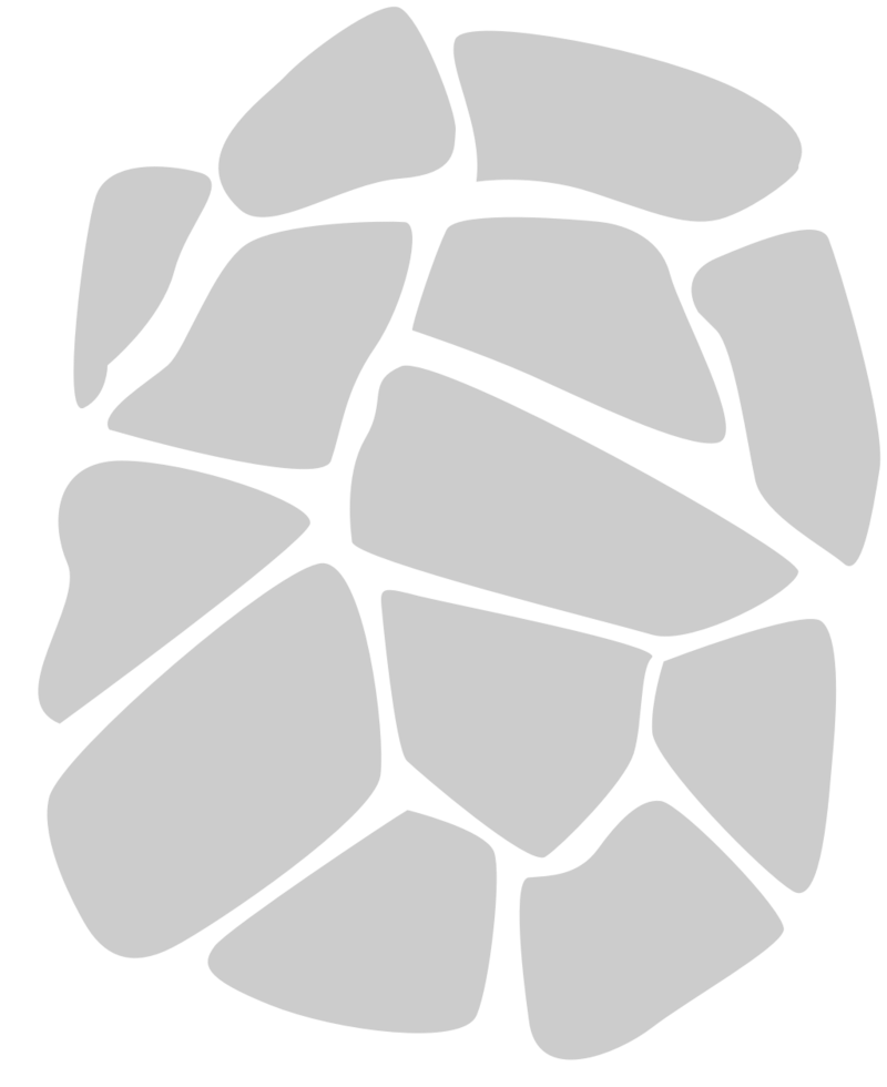 Rocks vector