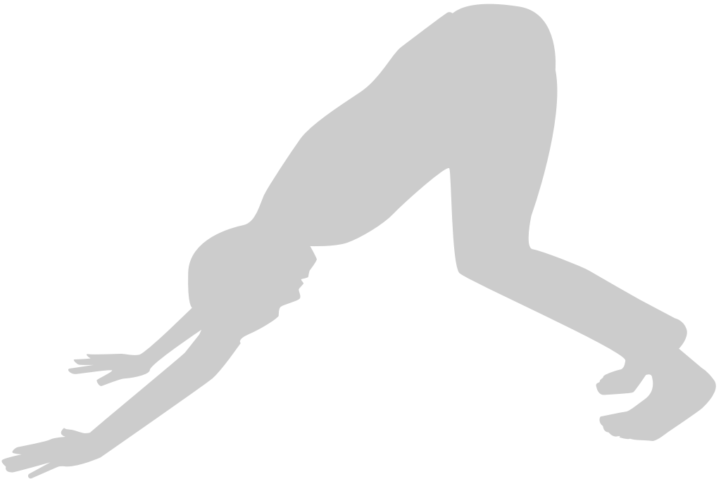 Yoga vector