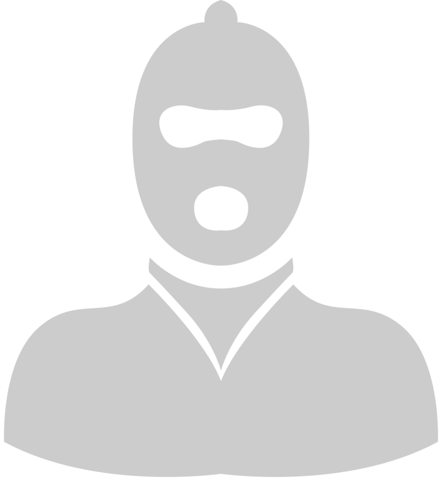 Thief vector