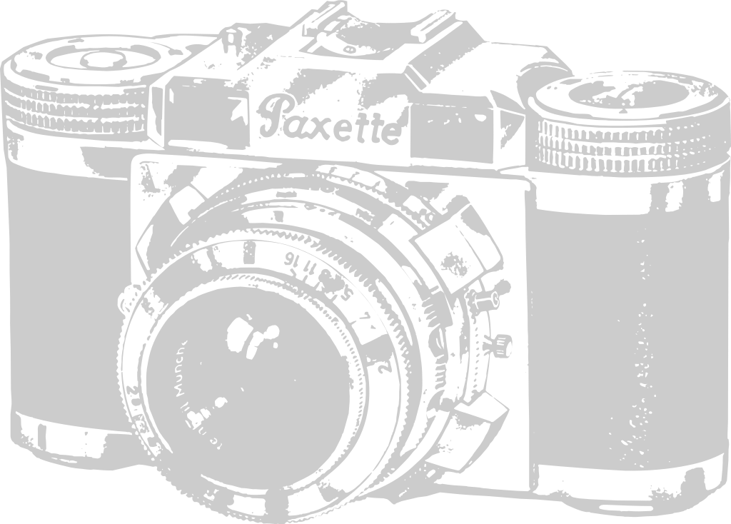 Camera vector