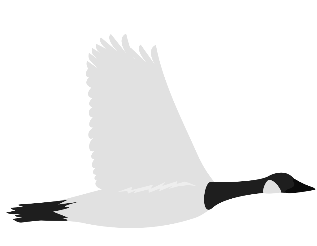 goose 36655593 Vector Art at Vecteezy