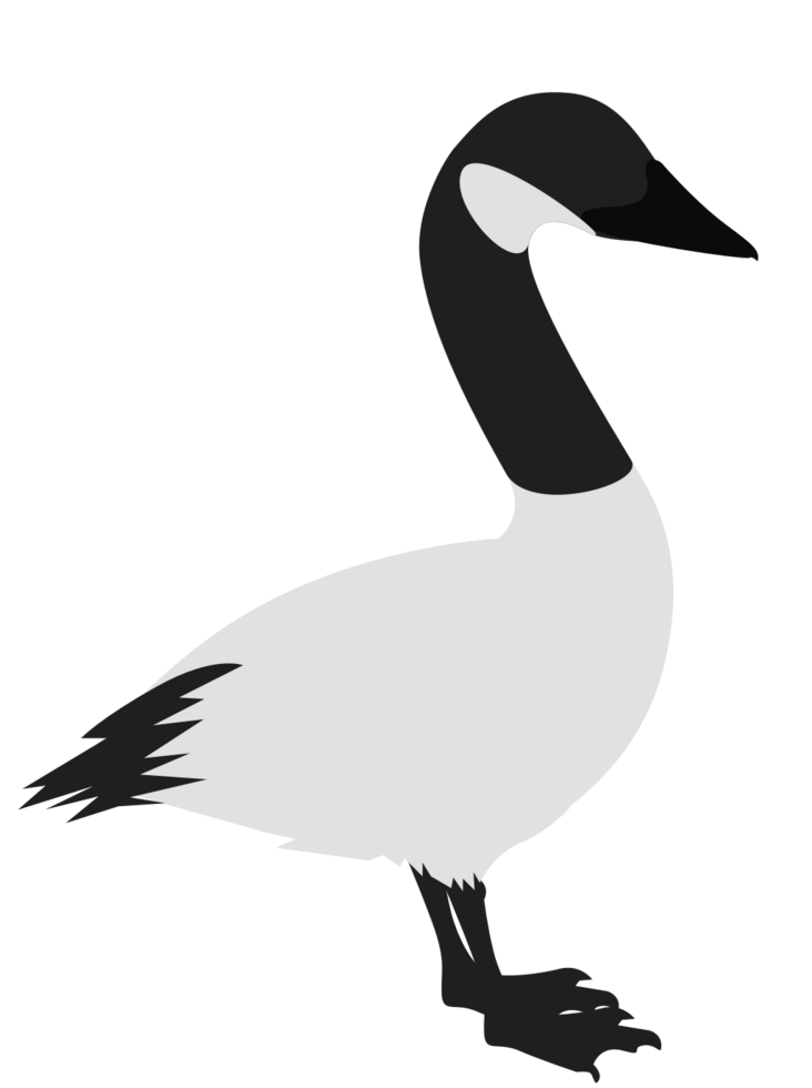 goose vector