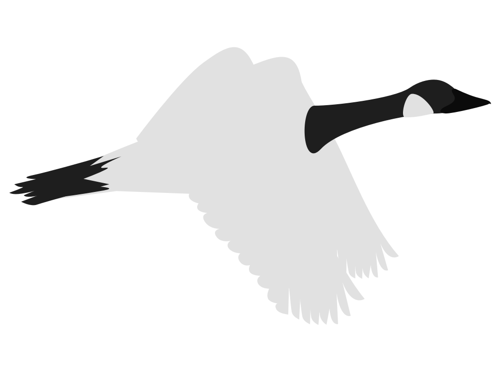 goose vector
