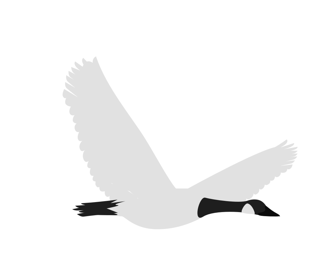 goose vector