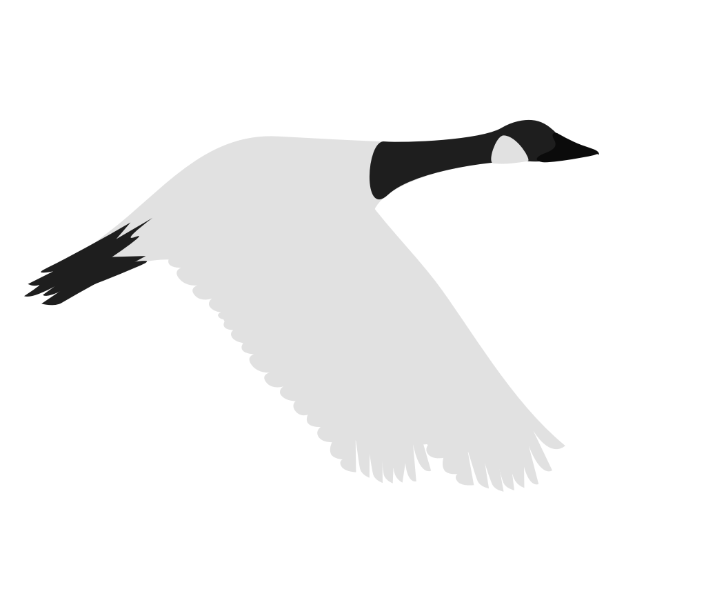 goose vector