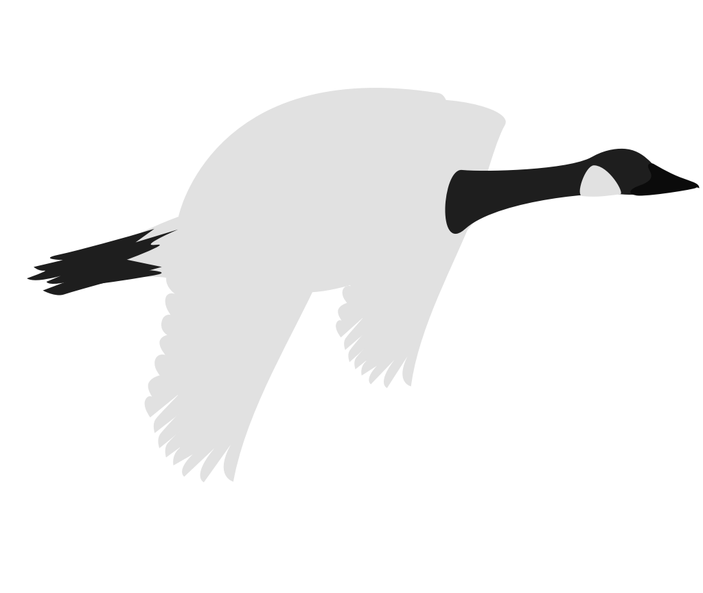 goose vector