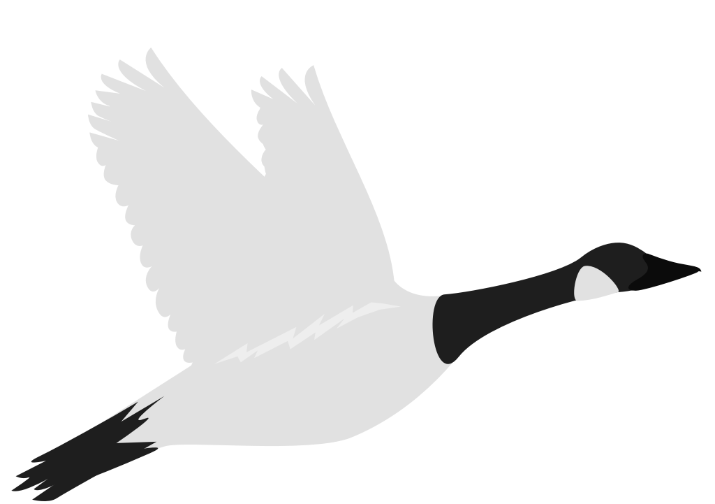 goose vector