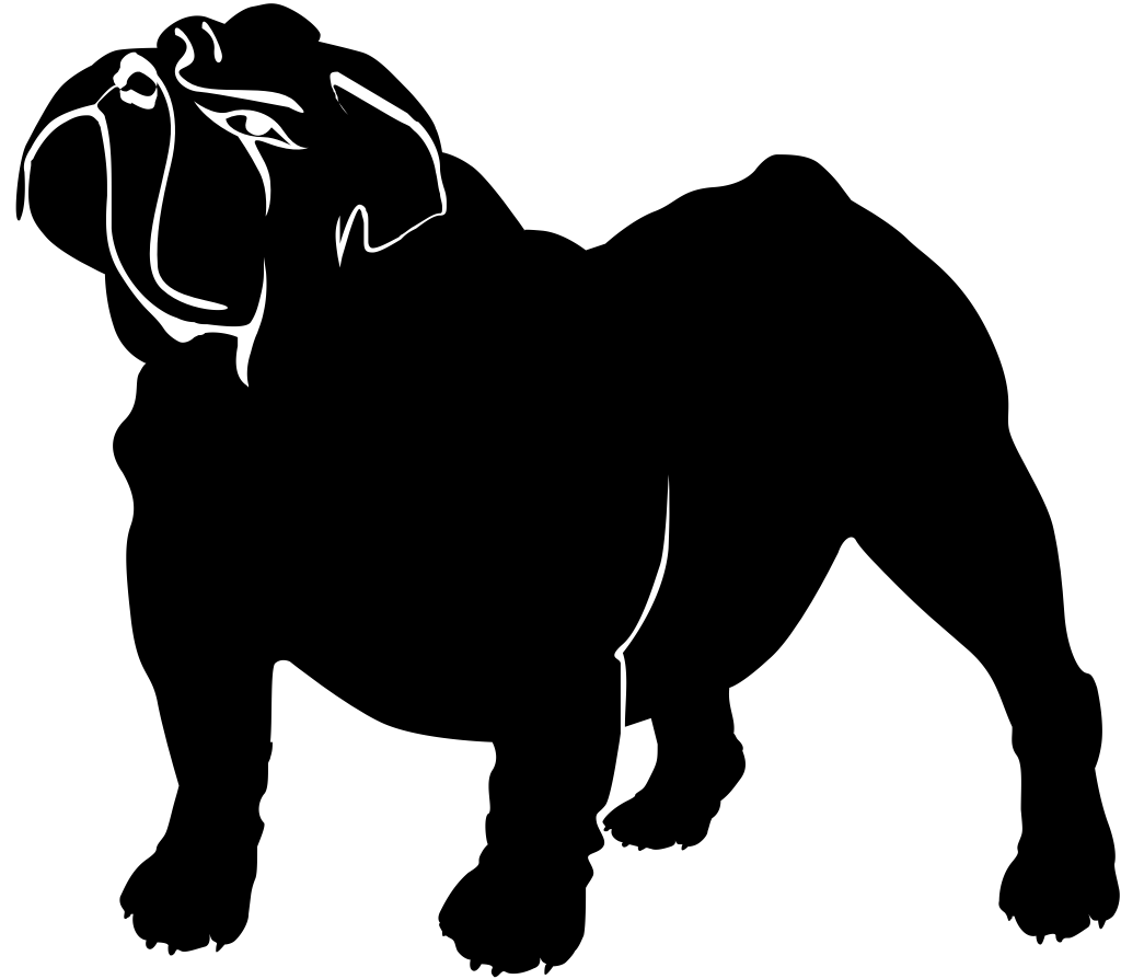 bulldog vector