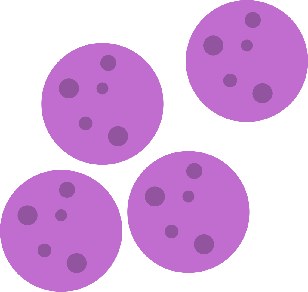 bacteria vector