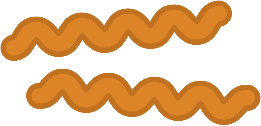 bacteria vector