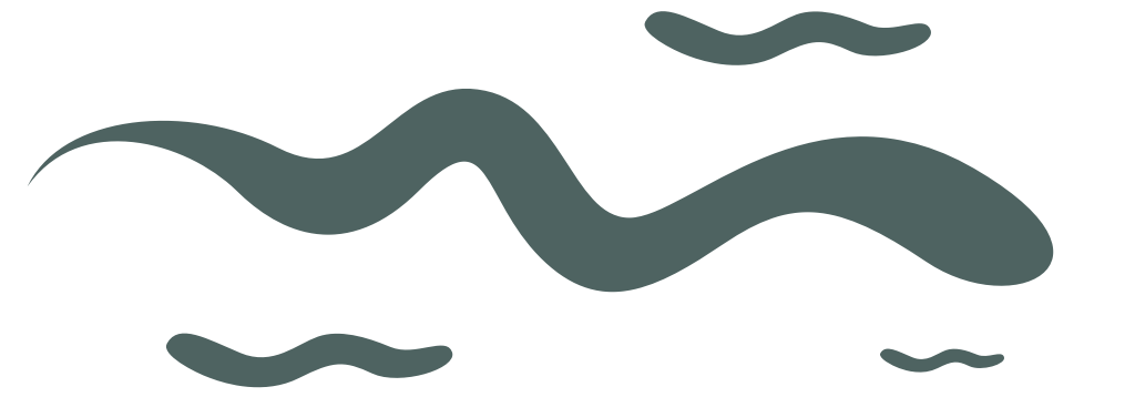 bacteria vector